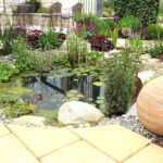 Garden Design Ideas for Fire-Prone Areas