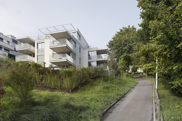 Residential Oasis in Horgen: An Architectural Marvel